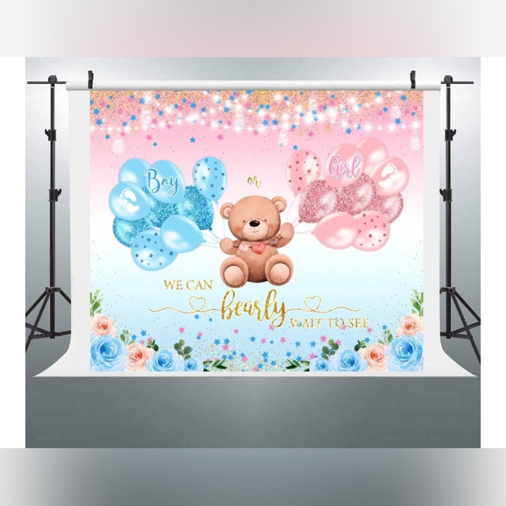 Gender Reveal Backdrop with Teddy Bear Design